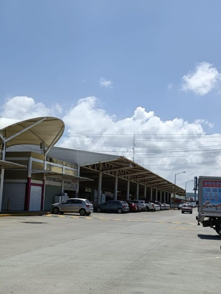 Local Comercial en Venta Centro de Abastos Viñedos San Marcos, Aguascalientes