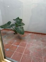 Casa en Venta en colonia Piramides en Aguascalientes AGS CRM INMOBILIARIA