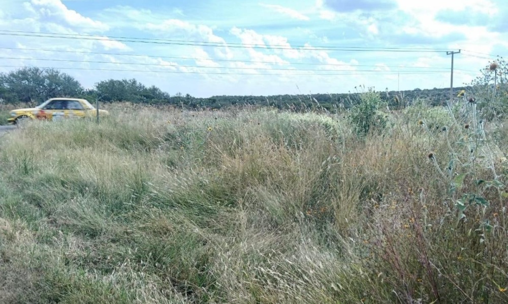 CARR AGUASCALIENTES VILLA HIDALGO rancho o rancheria cabecita 3 marias, 0 , 0 ,0,Terreno,Venta,CARR AGUASCALIENTES VILLA HIDALGO,0,1094