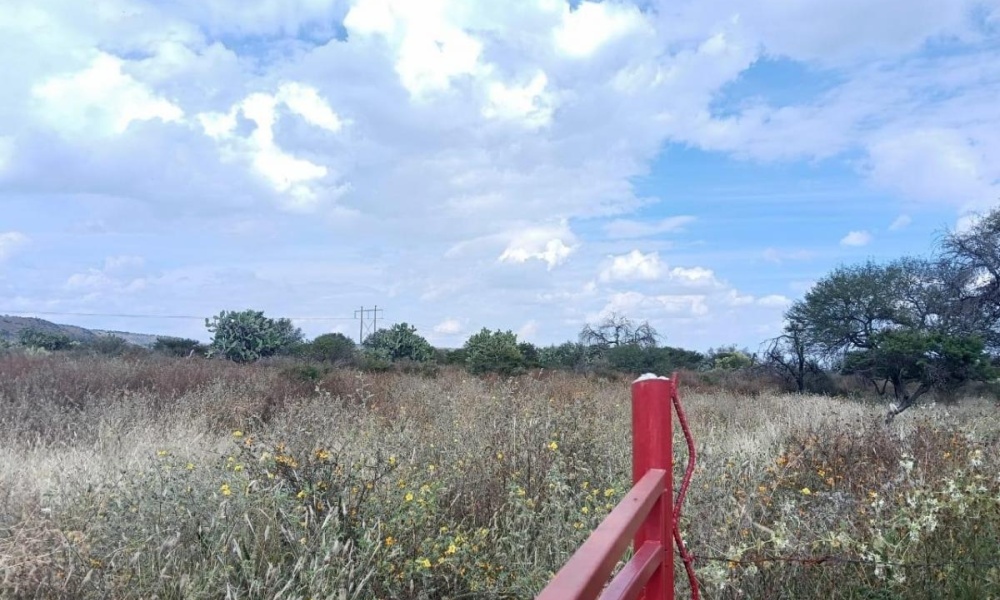 CARR AGUASCALIENTES VILLA HIDALGO rancho o rancheria cabecita 3 marias, 0 , 0 ,0,Terreno,Venta,CARR AGUASCALIENTES VILLA HIDALGO,0,1094