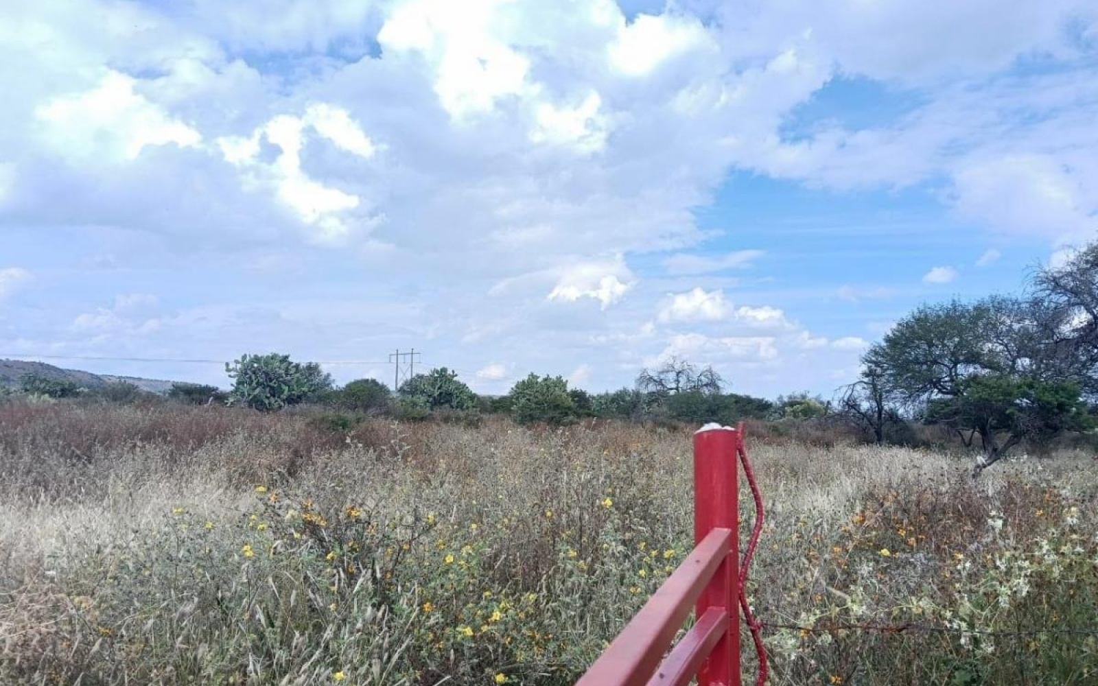 CARR AGUASCALIENTES VILLA HIDALGO rancho o rancheria cabecita 3 marias, ,Terreno,Venta,CARR AGUASCALIENTES VILLA HIDALGO,1094