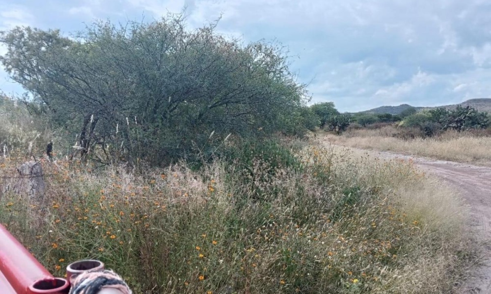 CARR AGUASCALIENTES VILLA HIDALGO rancho o rancheria cabecita 3 marias, 0 , 0 ,0,Terreno,Venta,CARR AGUASCALIENTES VILLA HIDALGO,0,1094