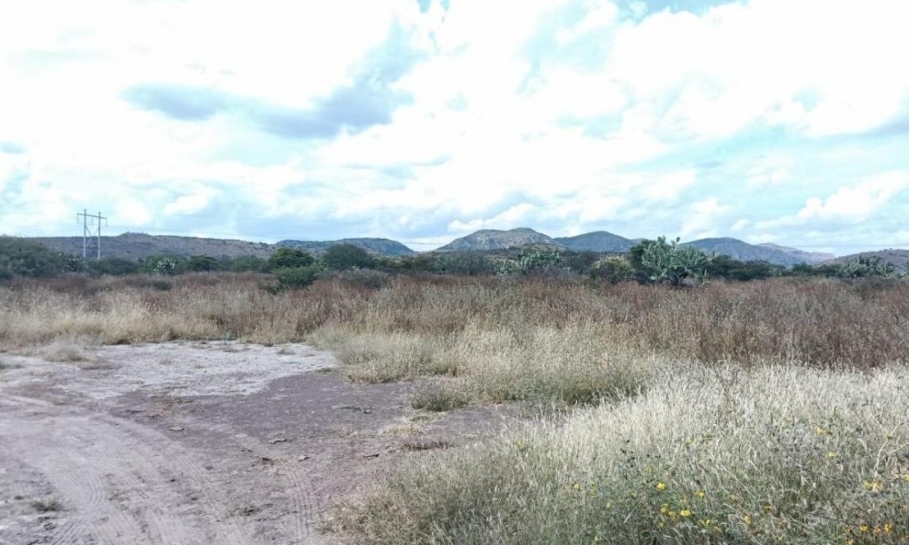 CARR AGUASCALIENTES VILLA HIDALGO rancho o rancheria cabecita 3 marias, 0 , 0 ,0,Terreno,Venta,CARR AGUASCALIENTES VILLA HIDALGO,0,1094