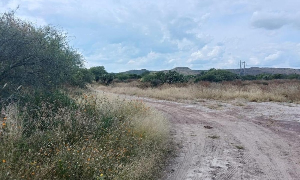 CARR AGUASCALIENTES VILLA HIDALGO rancho o rancheria cabecita 3 marias, 0 , 0 ,0,Terreno,Venta,CARR AGUASCALIENTES VILLA HIDALGO,0,1094