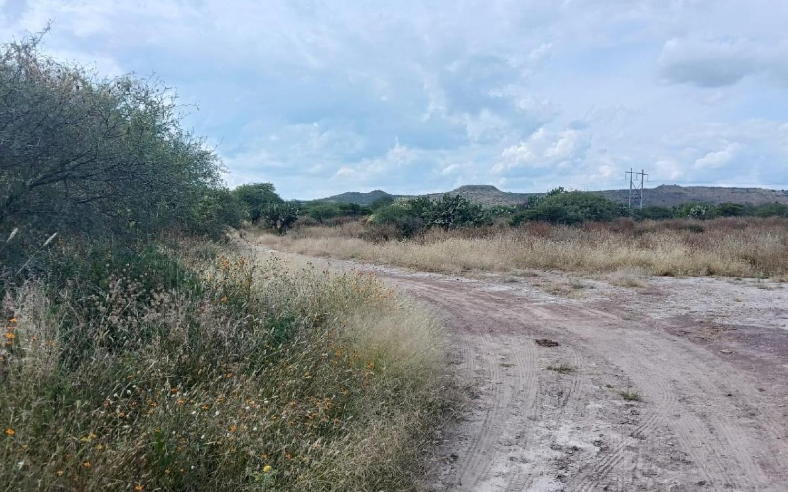 CARR AGUASCALIENTES VILLA HIDALGO rancho o rancheria cabecita 3 marias, ,Terreno,Venta,CARR AGUASCALIENTES VILLA HIDALGO,1094