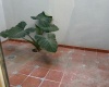 fraccionaminto piramides tamaulipas, 3 Habitaciones Habitaciones, 2 Habitaciones Habitaciones,2 BathroomsBathrooms,Casa,Venta,fraccionaminto piramides,1099