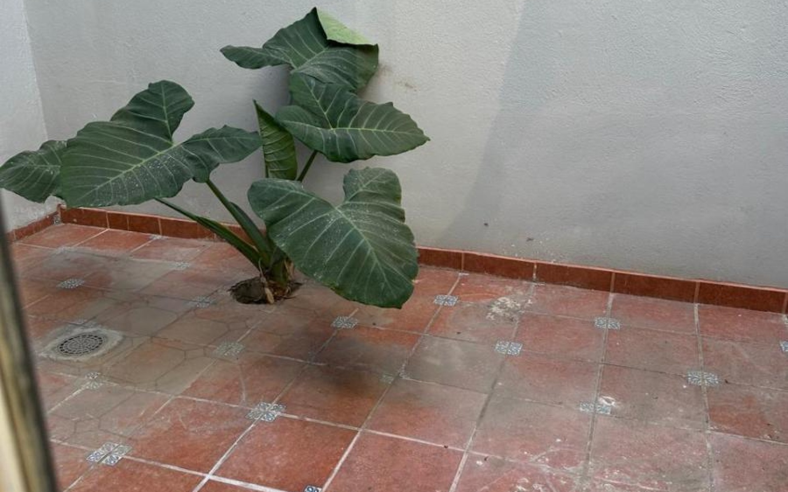 fraccionaminto piramides tamaulipas, 3 Habitaciones Habitaciones, 2 Habitaciones Habitaciones,2 BathroomsBathrooms,Casa,Venta,fraccionaminto piramides,1099