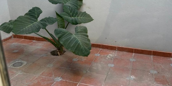 fraccionaminto piramides tamaulipas, 3 Habitaciones Habitaciones, 2 Habitaciones Habitaciones,2 BathroomsBathrooms,Casa,Venta,fraccionaminto piramides,1099 fraccionaminto piramides tamaulipas, 3 Habitaciones Habitaciones, 2 Habitaciones Habitaciones,2 BathroomsBathrooms,Casa,Venta,fraccionaminto piramides,1099