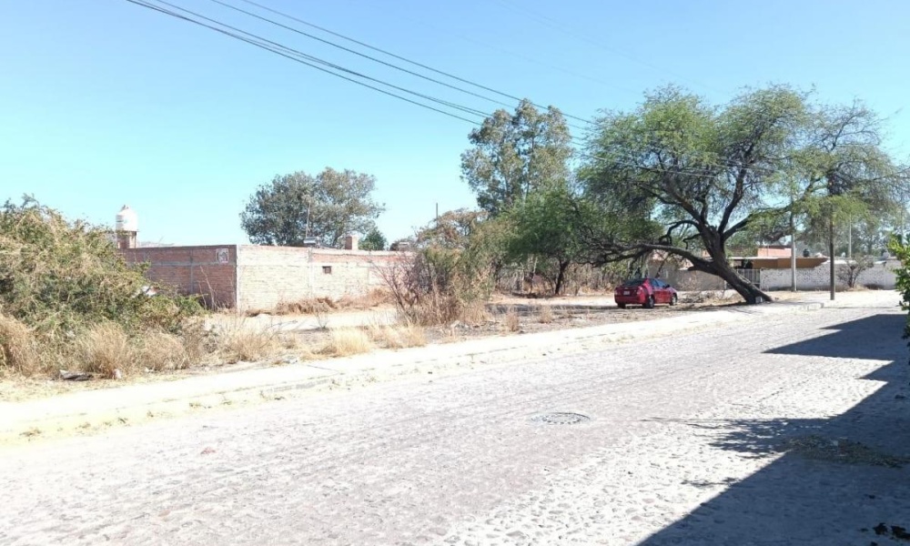 VENUSTIANO CARRANZA ELJIDO BUENA VISTA DE PEÑUELAS, 0 , 0 ,0,Terreno,Venta,VENUSTIANO CARRANZA,0,1115