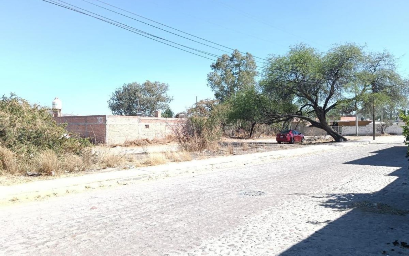 VENUSTIANO CARRANZA ELJIDO BUENA VISTA DE PEÑUELAS, ,Terreno,Venta,VENUSTIANO CARRANZA,1115
