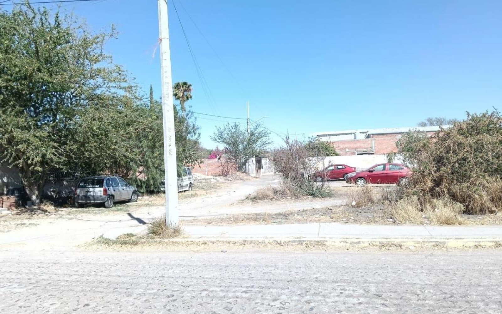 VENUSTIANO CARRANZA ELJIDO BUENA VISTA DE PEÑUELAS, ,Terreno,Venta,VENUSTIANO CARRANZA,1115
