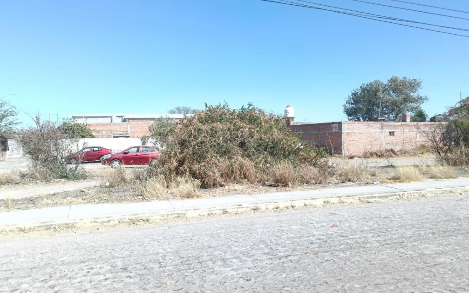 VENUSTIANO CARRANZA ELJIDO BUENA VISTA DE PEÑUELAS, ,Terreno,Venta,VENUSTIANO CARRANZA,1115