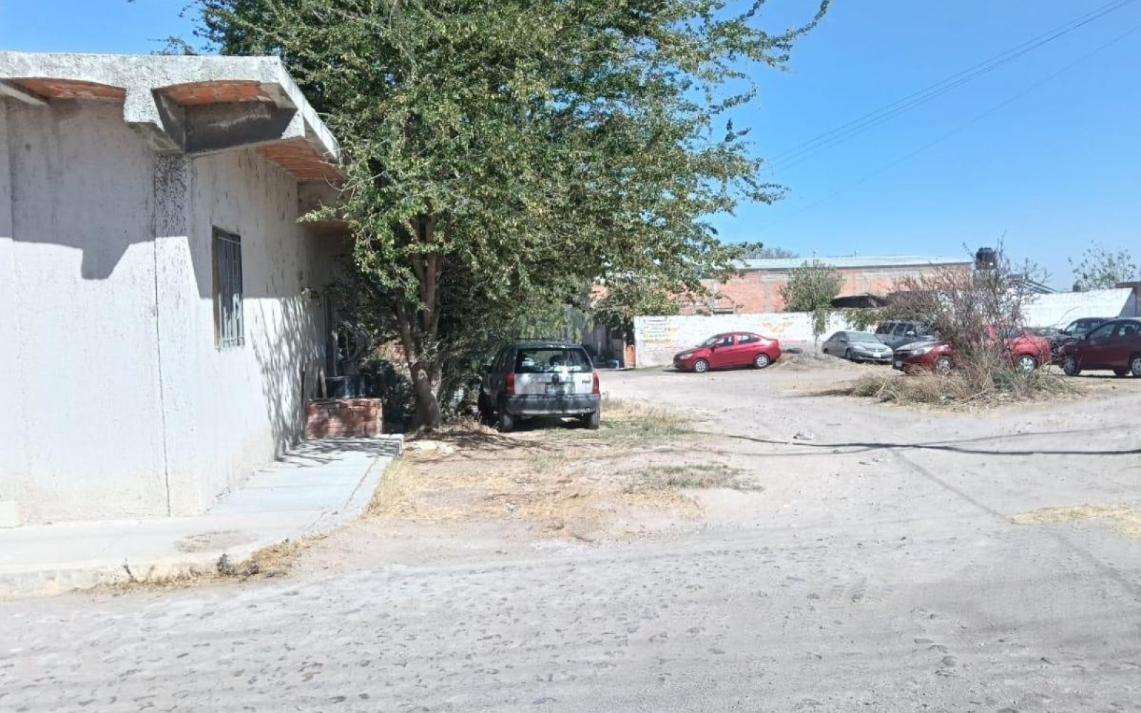 VENUSTIANO CARRANZA ELJIDO BUENA VISTA DE PEÑUELAS, ,Terreno,Venta,VENUSTIANO CARRANZA,1115