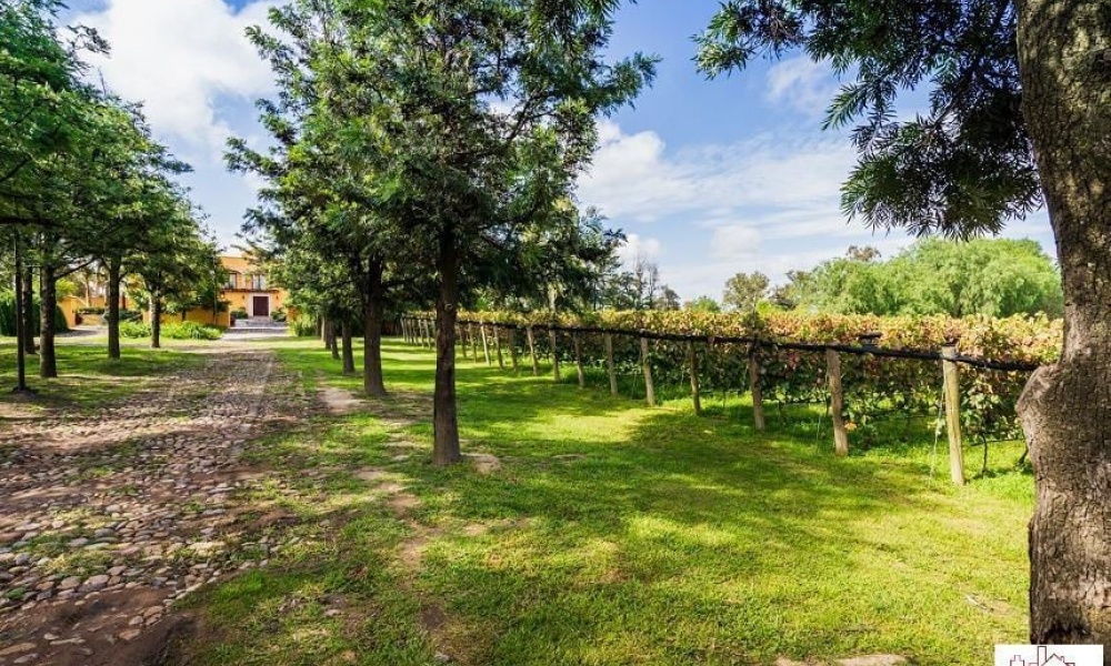 122 av san antonio, reserva santa monica FRACCIONAMIENTO RANCHO SANTA MONICA, 0 , 0 ,0,Terreno,Venta,av san antonio, reserva santa monica,0,1116