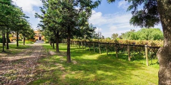 122 av san antonio, reserva santa monica FRACCIONAMIENTO RANCHO SANTA MONICA, ,Terreno,Venta,av san antonio, reserva santa monica,1116 122 av san antonio, reserva santa monica FRACCIONAMIENTO RANCHO SANTA MONICA, ,Terreno,Venta,av san antonio, reserva santa monica,1116