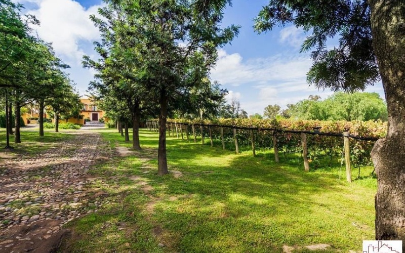 122 av san antonio, reserva santa monica FRACCIONAMIENTO RANCHO SANTA MONICA, 0 , 0 ,0,Terreno,Venta,av san antonio, reserva santa monica,0,1116