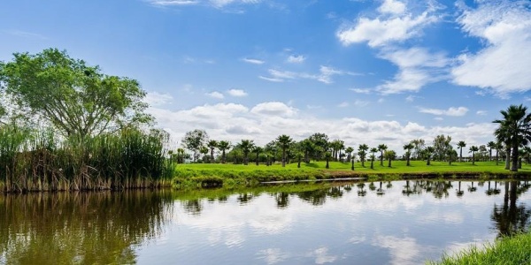 122 av san antonio, reserva santa monica FRACCIONAMIENTO RANCHO SANTA MONICA, ,Terreno,Venta,av san antonio, reserva santa monica,1116 122 av san antonio, reserva santa monica FRACCIONAMIENTO RANCHO SANTA MONICA, ,Terreno,Venta,av san antonio, reserva santa monica,1116