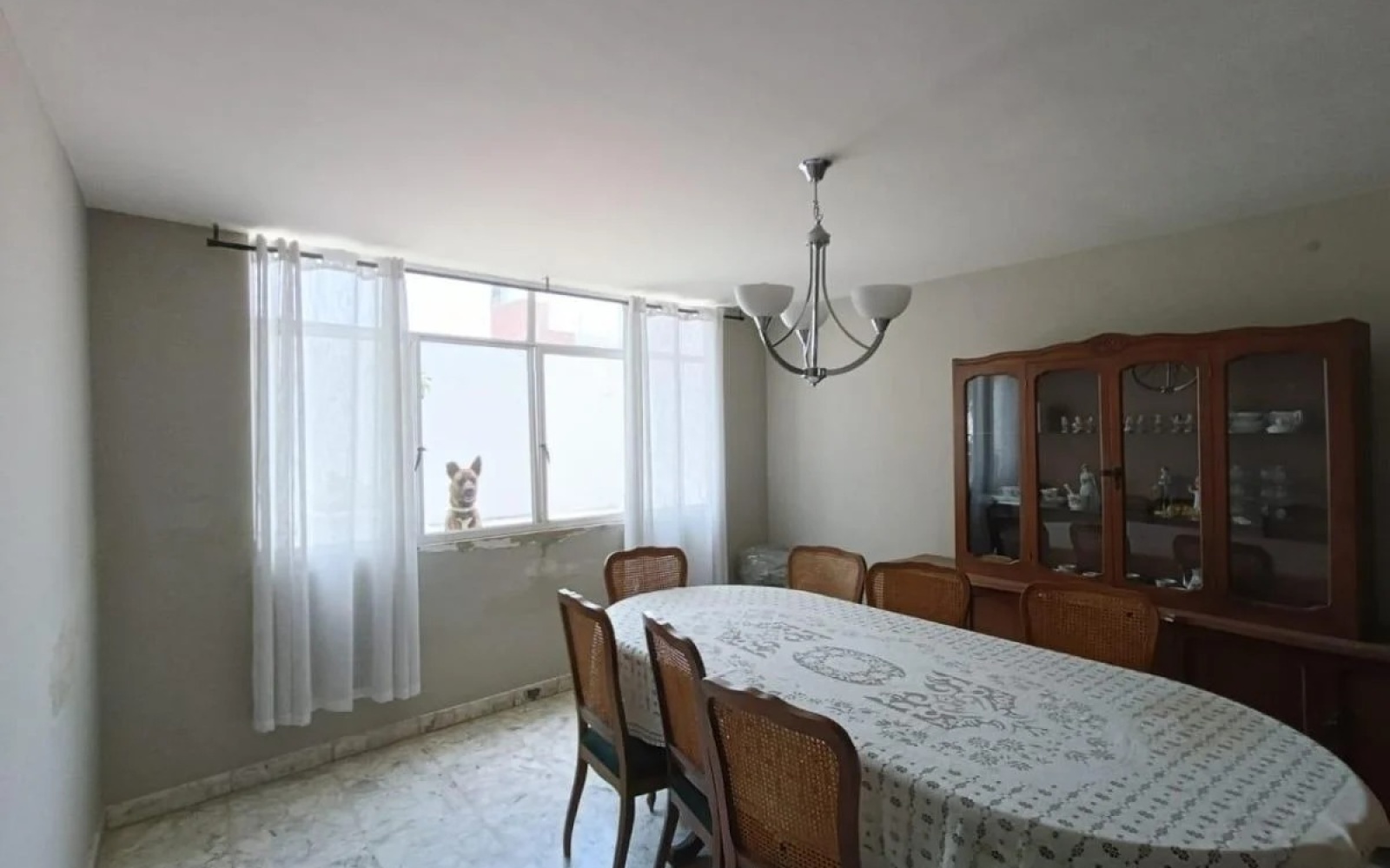 616-101 LIC FRANCISCO PRIMO VERDAD BARRIO LA PURISIMA, 7 Habitaciones Habitaciones, 3 Habitaciones Habitaciones,2 BathroomsBathrooms,Casa,Venta,LIC FRANCISCO PRIMO VERDAD,1117