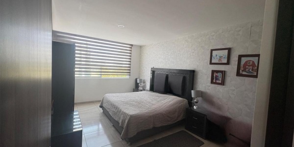 308 AV SAN ANTONIO FRACCIONAMIENTO RANCHO SANTA MONICA, 3 Habitaciones Habitaciones, 2 Habitaciones Habitaciones,3 BathroomsBathrooms,Casa,Venta,AV SAN ANTONIO,1120 308 AV SAN ANTONIO FRACCIONAMIENTO RANCHO SANTA MONICA, 3 Habitaciones Habitaciones, 2 Habitaciones Habitaciones,3 BathroomsBathrooms,Casa,Venta,AV SAN ANTONIO,1120