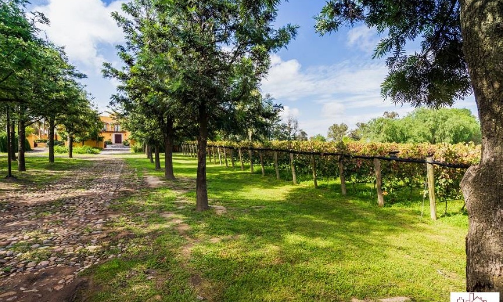 20286 AV SAN ANTONIO FRACCIONAMIENTO RANCHO SANTA MONICA, ,Terreno,Venta,AV SAN ANTONIO,1123