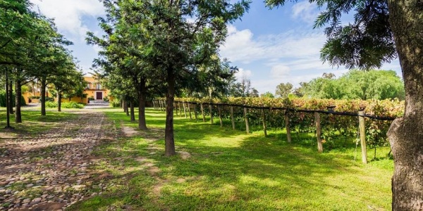20286 AV SAN ANTONIO FRACCIONAMIENTO RANCHO SANTA MONICA, ,Terreno,Venta,AV SAN ANTONIO,1123 20286 AV SAN ANTONIO FRACCIONAMIENTO RANCHO SANTA MONICA, ,Terreno,Venta,AV SAN ANTONIO,1123
