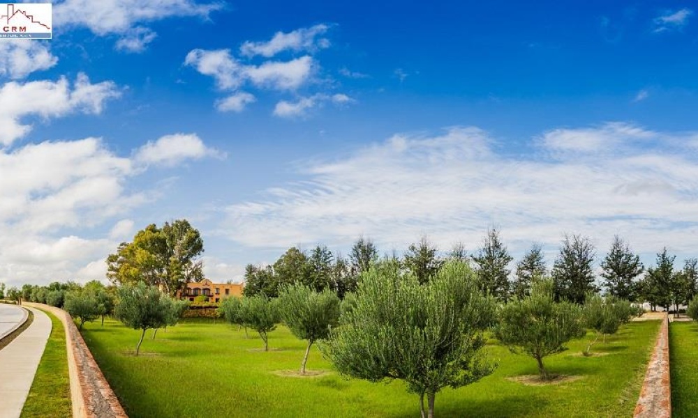 20286 AV SAN ANTONIO FRACCIONAMIENTO RANCHO SANTA MONICA, ,Terreno,Venta,AV SAN ANTONIO,1123