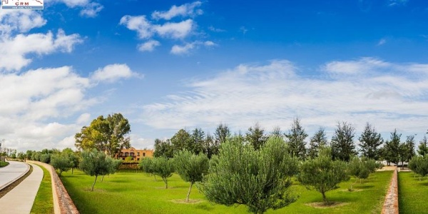 20286 AV SAN ANTONIO FRACCIONAMIENTO RANCHO SANTA MONICA, ,Terreno,Venta,AV SAN ANTONIO,1123 20286 AV SAN ANTONIO FRACCIONAMIENTO RANCHO SANTA MONICA, ,Terreno,Venta,AV SAN ANTONIO,1123