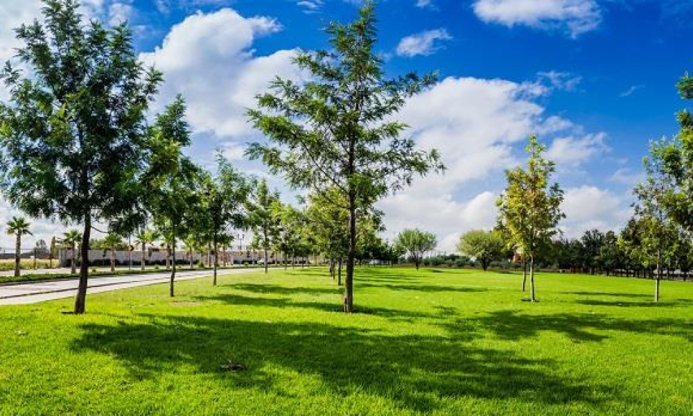 20286 AV SAN ANTONIO FRACCIONAMIENTO RANCHO SANTA MONICA, ,Terreno,Venta,AV SAN ANTONIO,1123