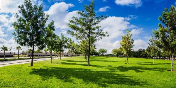 20286 AV SAN ANTONIO FRACCIONAMIENTO RANCHO SANTA MONICA, ,Terreno,Venta,AV SAN ANTONIO,1123 20286 AV SAN ANTONIO FRACCIONAMIENTO RANCHO SANTA MONICA, ,Terreno,Venta,AV SAN ANTONIO,1123