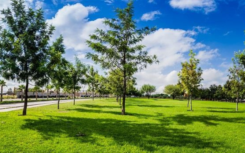 20286 AV SAN ANTONIO FRACCIONAMIENTO RANCHO SANTA MONICA, ,Terreno,Venta,AV SAN ANTONIO,1123