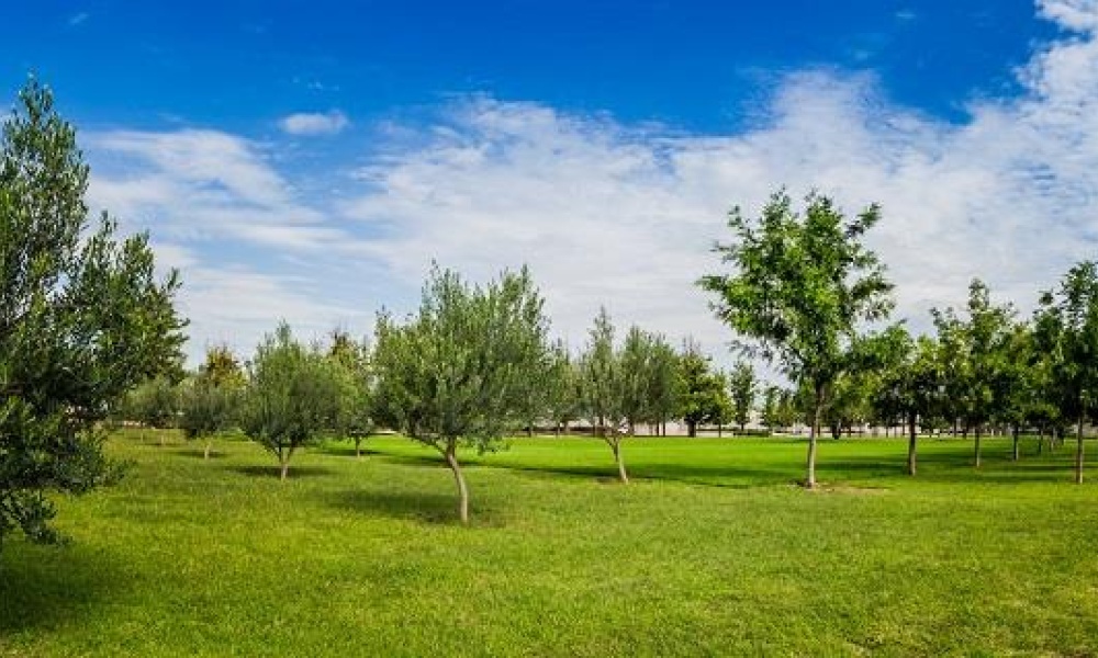 20286 AV SAN ANTONIO FRACCIONAMIENTO RANCHO SANTA MONICA, ,Terreno,Venta,AV SAN ANTONIO,1123