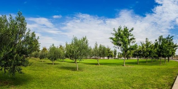 20286 AV SAN ANTONIO FRACCIONAMIENTO RANCHO SANTA MONICA, ,Terreno,Venta,AV SAN ANTONIO,1123 20286 AV SAN ANTONIO FRACCIONAMIENTO RANCHO SANTA MONICA, ,Terreno,Venta,AV SAN ANTONIO,1123