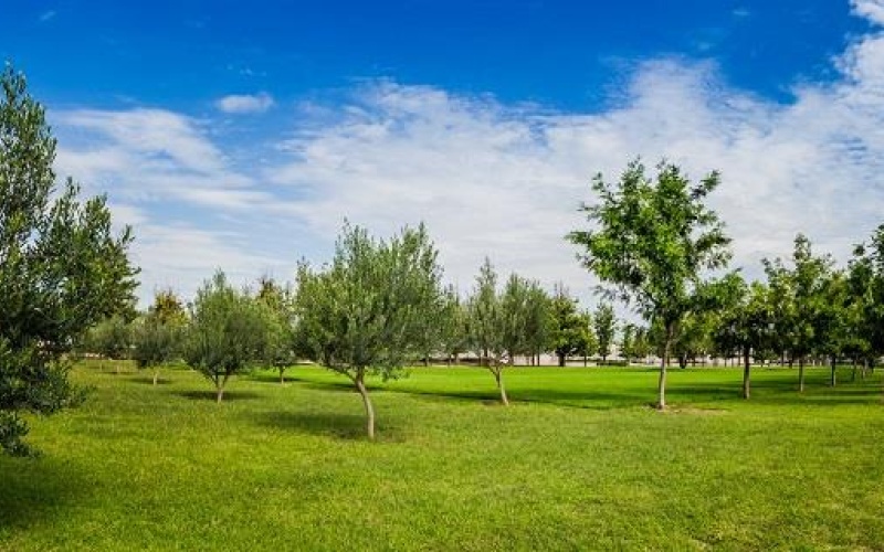 20286 AV SAN ANTONIO FRACCIONAMIENTO RANCHO SANTA MONICA, ,Terreno,Venta,AV SAN ANTONIO,1123