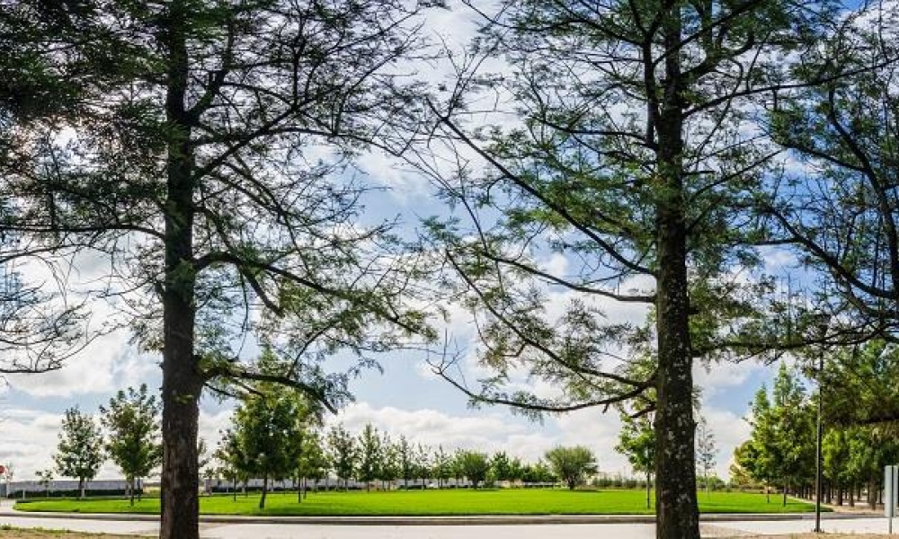 20286 AV SAN ANTONIO FRACCIONAMIENTO RANCHO SANTA MONICA, ,Terreno,Venta,AV SAN ANTONIO,1123