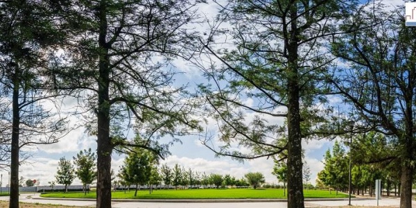 20286 AV SAN ANTONIO FRACCIONAMIENTO RANCHO SANTA MONICA, ,Terreno,Venta,AV SAN ANTONIO,1123 20286 AV SAN ANTONIO FRACCIONAMIENTO RANCHO SANTA MONICA, ,Terreno,Venta,AV SAN ANTONIO,1123
