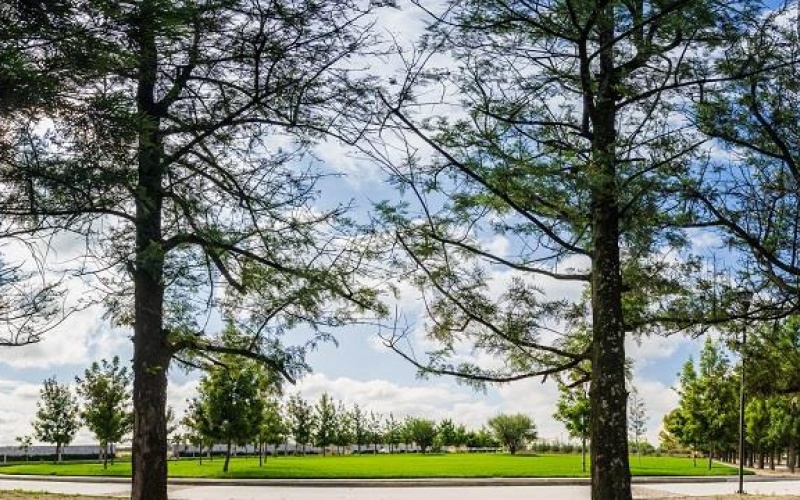 20286 AV SAN ANTONIO FRACCIONAMIENTO RANCHO SANTA MONICA, ,Terreno,Venta,AV SAN ANTONIO,1123