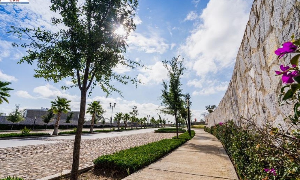 20286 AV SAN ANTONIO FRACCIONAMIENTO RANCHO SANTA MONICA, ,Terreno,Venta,AV SAN ANTONIO,1123