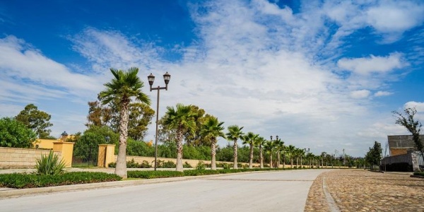 20286 AV SAN ANTONIO FRACCIONAMIENTO RANCHO SANTA MONICA, ,Terreno,Venta,AV SAN ANTONIO,1123 20286 AV SAN ANTONIO FRACCIONAMIENTO RANCHO SANTA MONICA, ,Terreno,Venta,AV SAN ANTONIO,1123