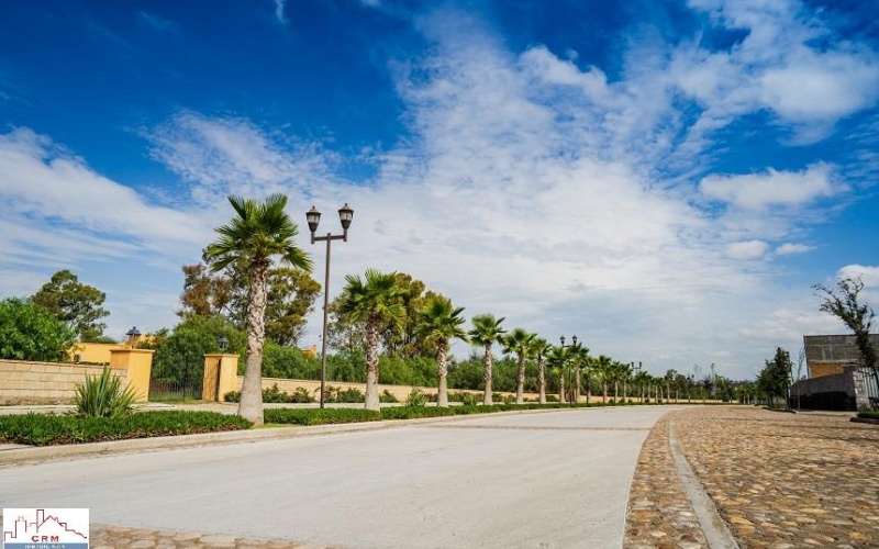 20286 AV SAN ANTONIO FRACCIONAMIENTO RANCHO SANTA MONICA, ,Terreno,Venta,AV SAN ANTONIO,1123