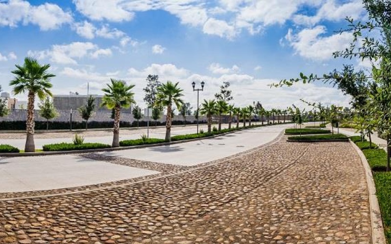 20286 AV SAN ANTONIO FRACCIONAMIENTO RANCHO SANTA MONICA, ,Terreno,Venta,AV SAN ANTONIO,1123