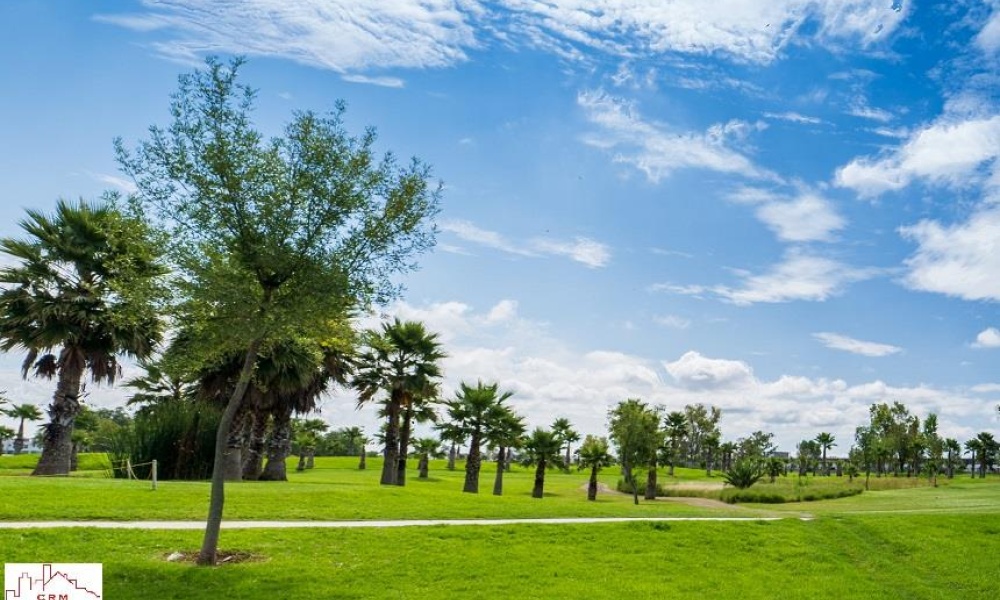 20286 AV SAN ANTONIO FRACCIONAMIENTO RANCHO SANTA MONICA, ,Terreno,Venta,AV SAN ANTONIO,1123