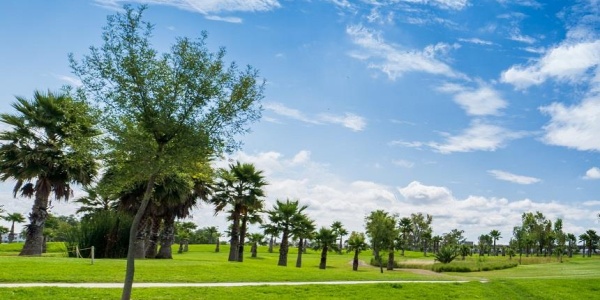 20286 AV SAN ANTONIO FRACCIONAMIENTO RANCHO SANTA MONICA, ,Terreno,Venta,AV SAN ANTONIO,1123 20286 AV SAN ANTONIO FRACCIONAMIENTO RANCHO SANTA MONICA, ,Terreno,Venta,AV SAN ANTONIO,1123