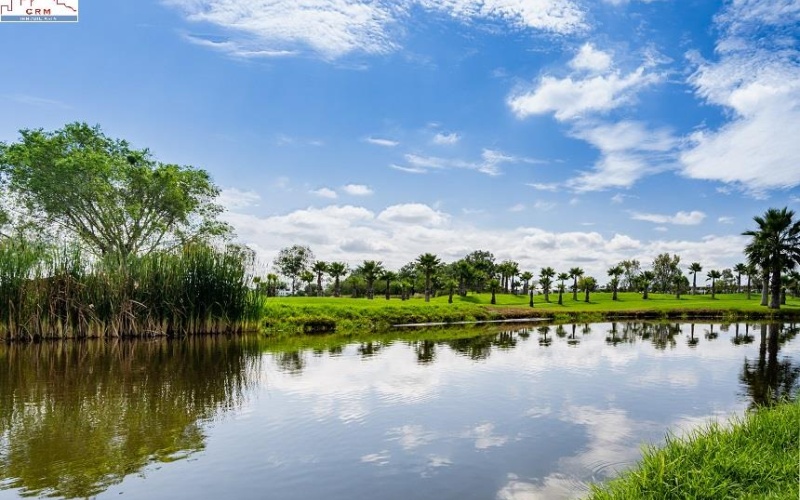 20286 AV SAN ANTONIO FRACCIONAMIENTO RANCHO SANTA MONICA, ,Terreno,Venta,AV SAN ANTONIO,1123