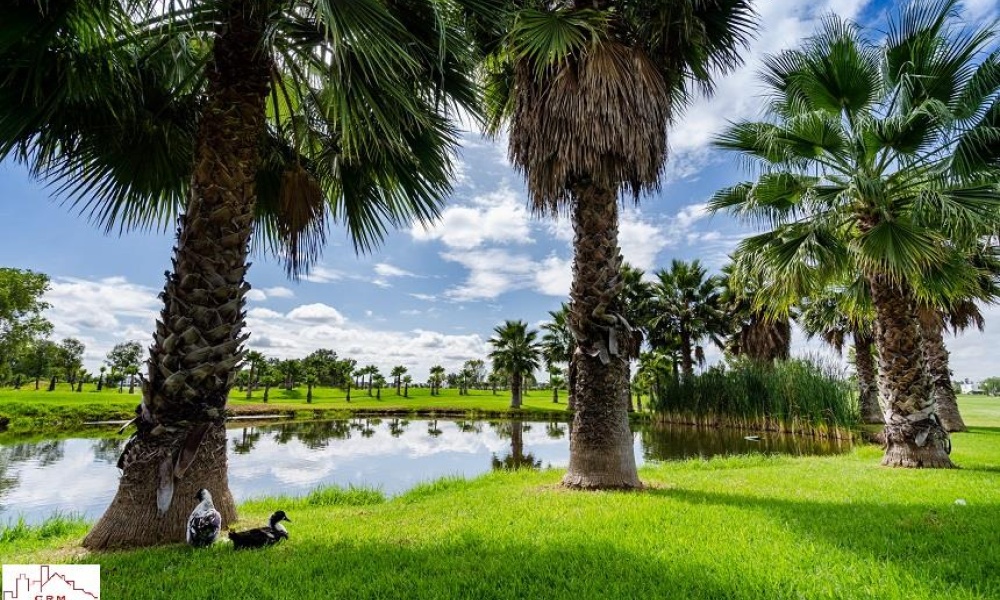 20286 AV SAN ANTONIO FRACCIONAMIENTO RANCHO SANTA MONICA, ,Terreno,Venta,AV SAN ANTONIO,1123