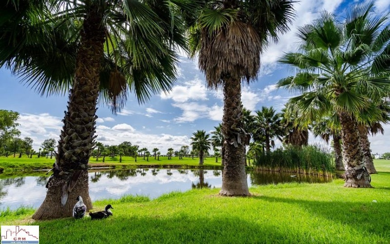20286 AV SAN ANTONIO FRACCIONAMIENTO RANCHO SANTA MONICA, ,Terreno,Venta,AV SAN ANTONIO,1123