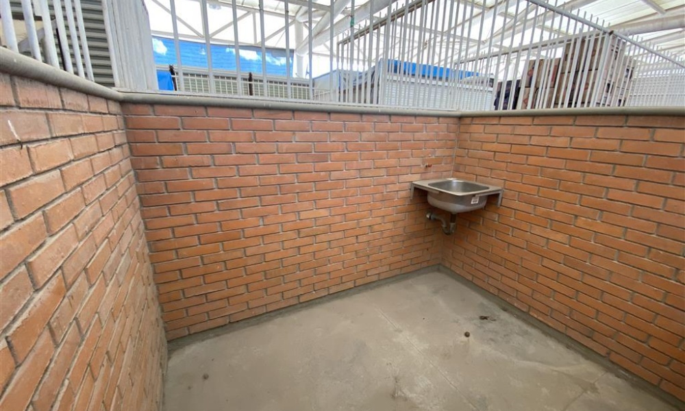 223 Viñedos Vides ZONA COMERCIAL CENTRO DISTRIBUIDOR DE BASICOS VIÑE, 4 Habitaciones Habitaciones,Local Comercial,Renta,Viñedos Vides ,1126