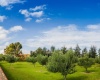 av. san antonio FRACCIONAMIENTO RANCHO SANTA MONICA, 0 , 0 ,0,Terreno,Venta,av. san antonio,0,1132