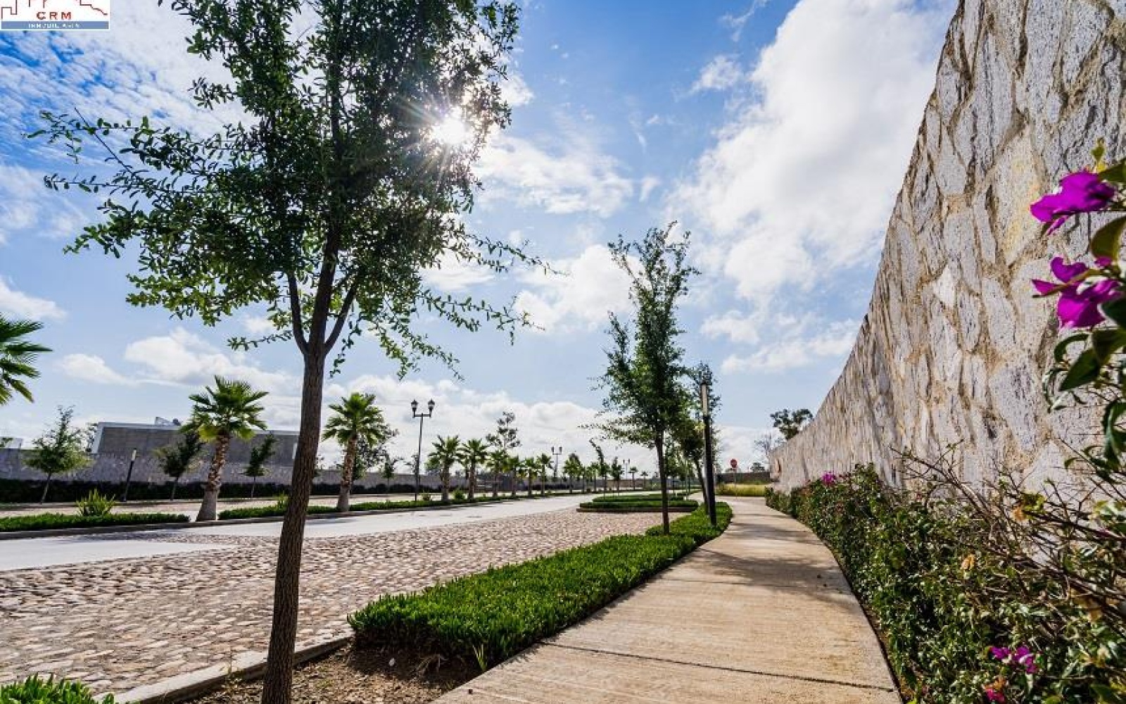 av. san antonio FRACCIONAMIENTO RANCHO SANTA MONICA, 0 , 0 ,0,Terreno,Venta,av. san antonio,0,1132