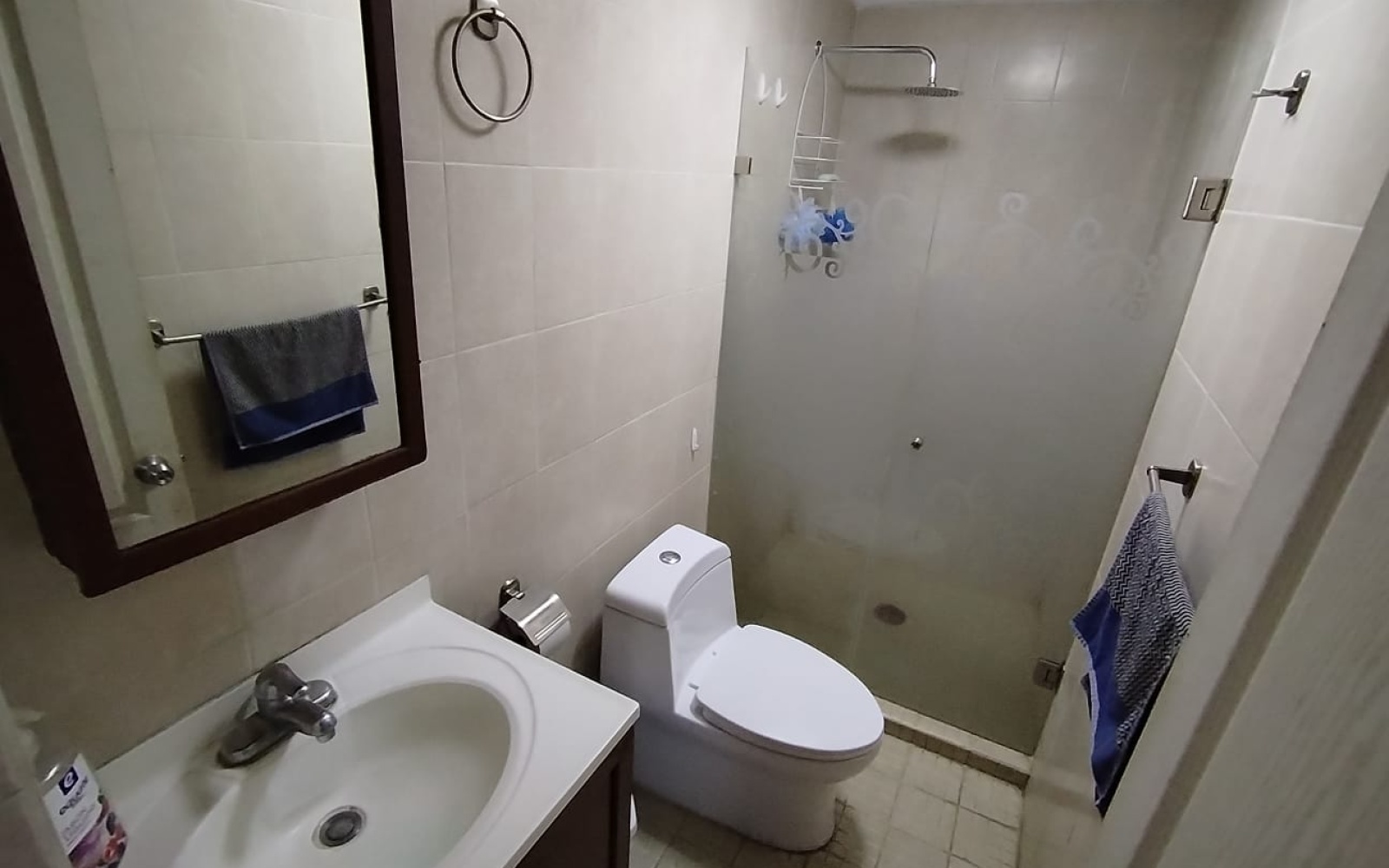 300 Circuito Laurel Arboledas De Paso Blanco, Jesus Maria, 3 Habitaciones Habitaciones, 1 Habitación Habitaciones,1 BañoBathrooms,Casa,Venta,Circuito Laurel,1143