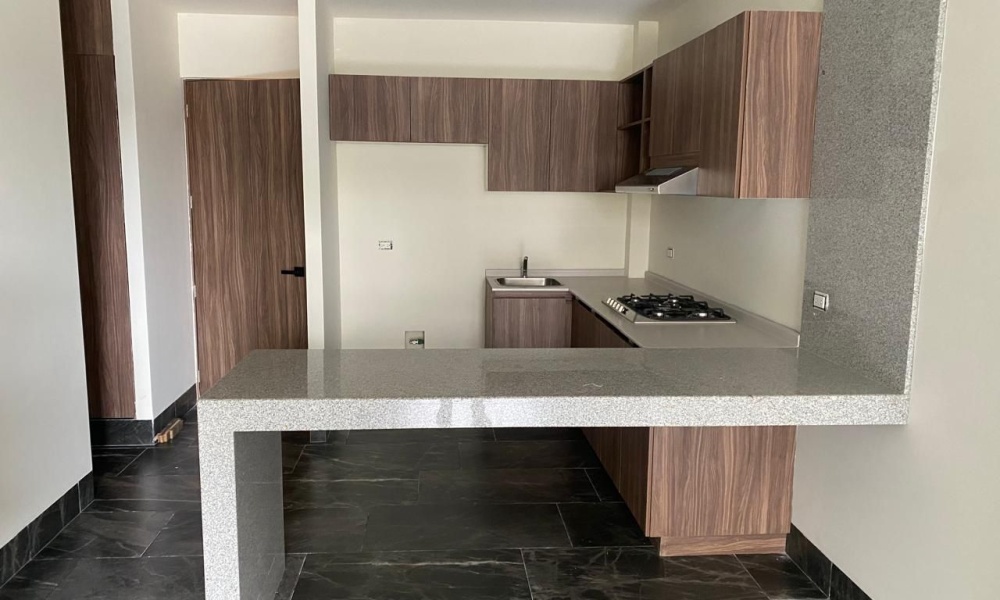 AV. Guadalupe Gonzalez, Punta del Cielo, 1 Bedroom Bedrooms, 1 Room Rooms,1 BathroomBathrooms,Departamento,Venta,AV. Guadalupe Gonzalez,0,1155